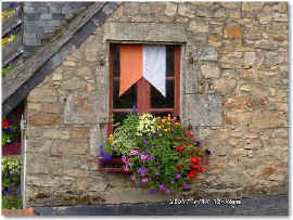 wpe9C.jpg (28298 Byte)