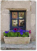 wpe92.jpg (8761 Byte)